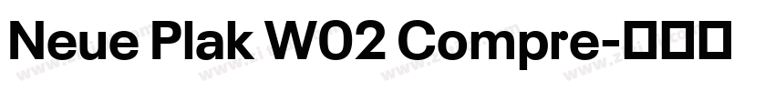 Neue Plak W02 Compre字体转换
